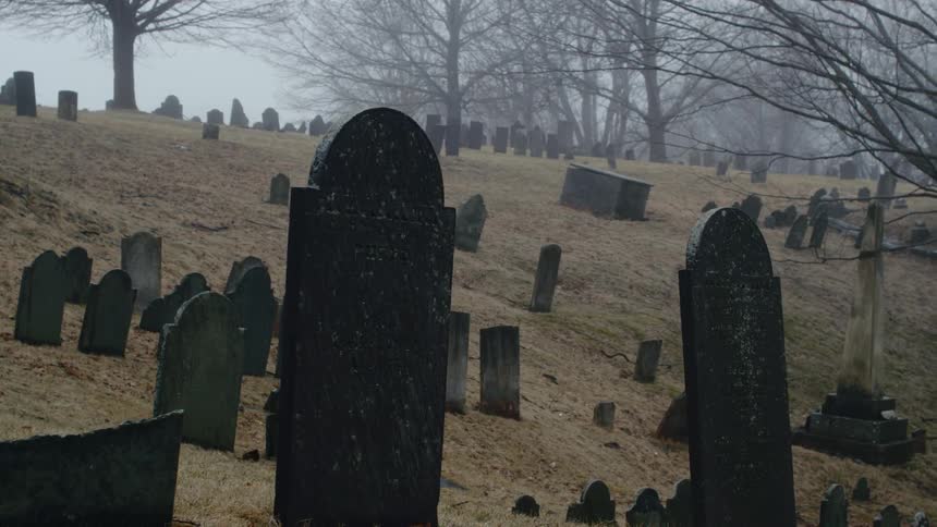 A creepy graveyard on a sloping hill in the early foggy morning with a variety of old headstones and bare trees.