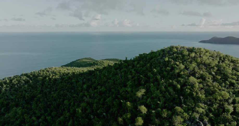 An aerial view of hills with trees