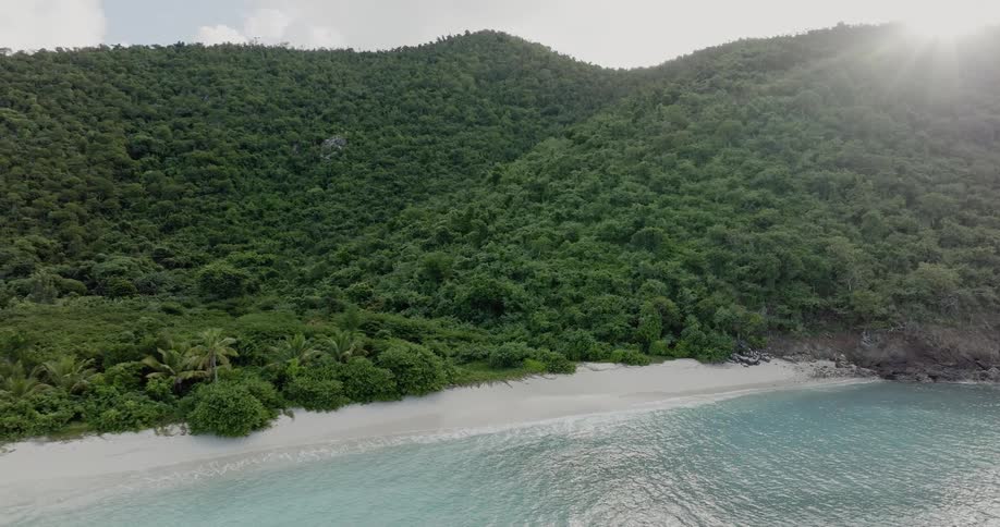 A beach on an island covered in thick vegetation during the day