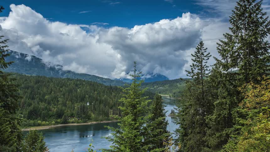 Clouds form over a forested area