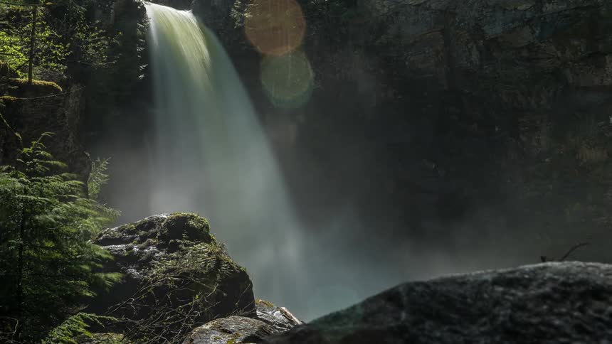A waterfall flows in a forest