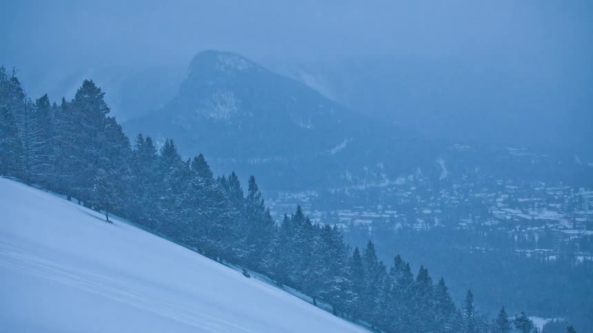 Snow falling on a tree covered mountain