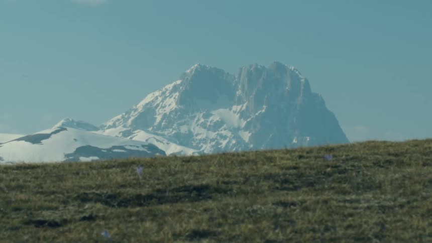 An open field sits below a snow capped mountain