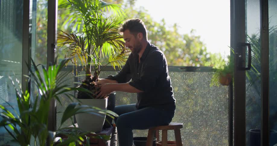 A man sits on a stool at home and plants a plant in a pot