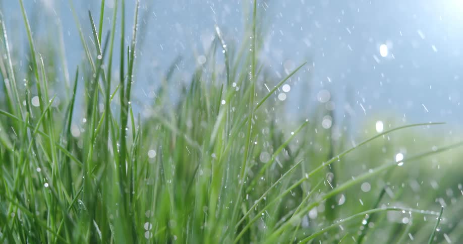 A lawn is watered on a sunny day