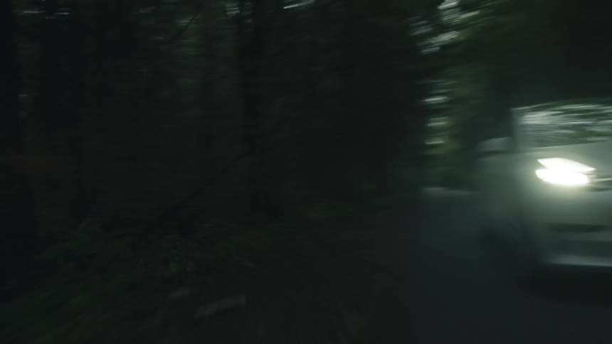 A vehicle drives down a rural road through a forest