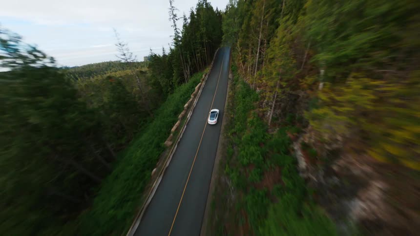 A car is driving fast on a road in a wooded area