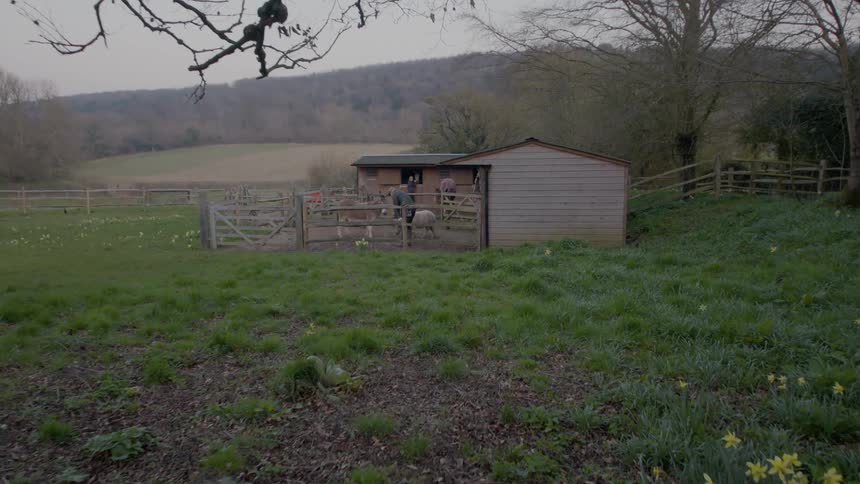 Farmers mucking out a horse barn