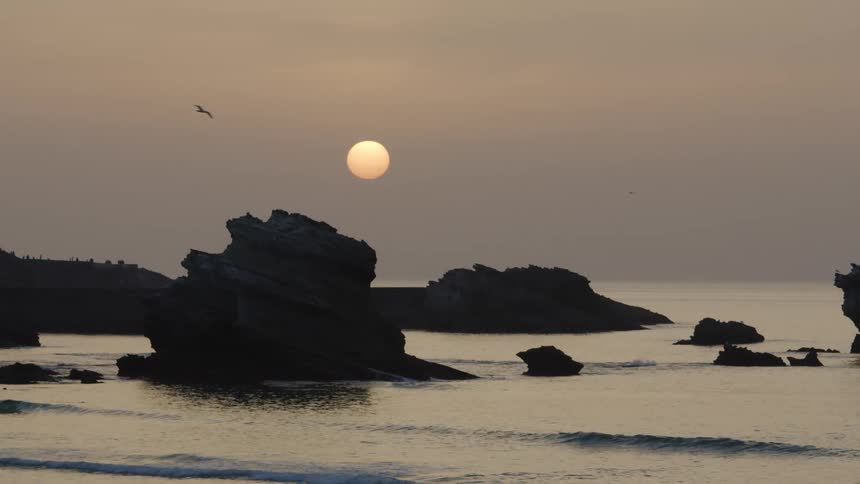 A bird flies over the shore