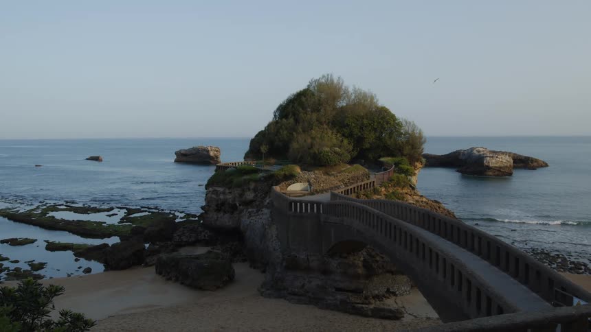 A bird flies over the shore