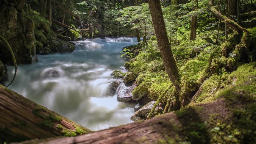 Time lapse of a stream on a sunny day