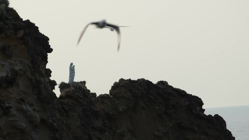 Birds flying over a cliff on the shore with a statue on top