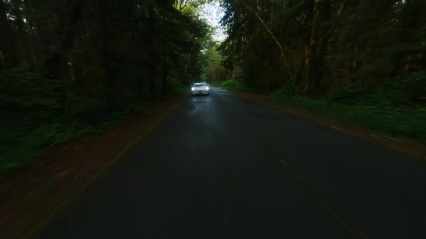 Car drives along road bordered by forest