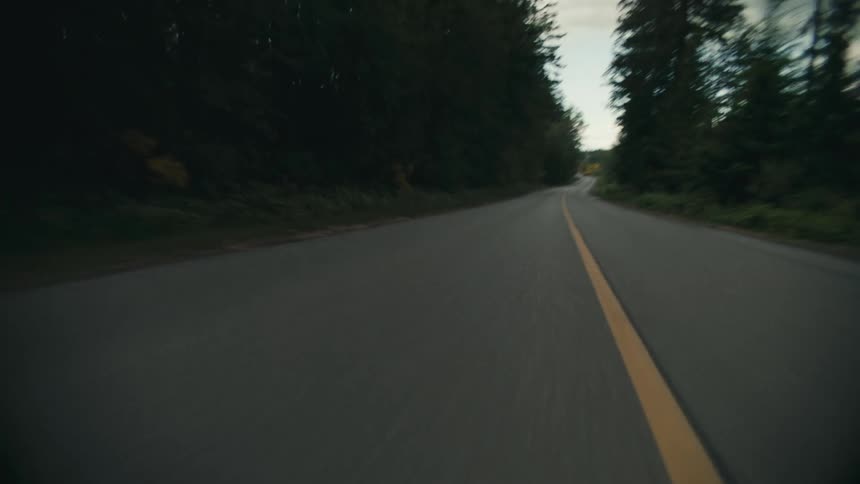 An empty road is displayed through a wooded area