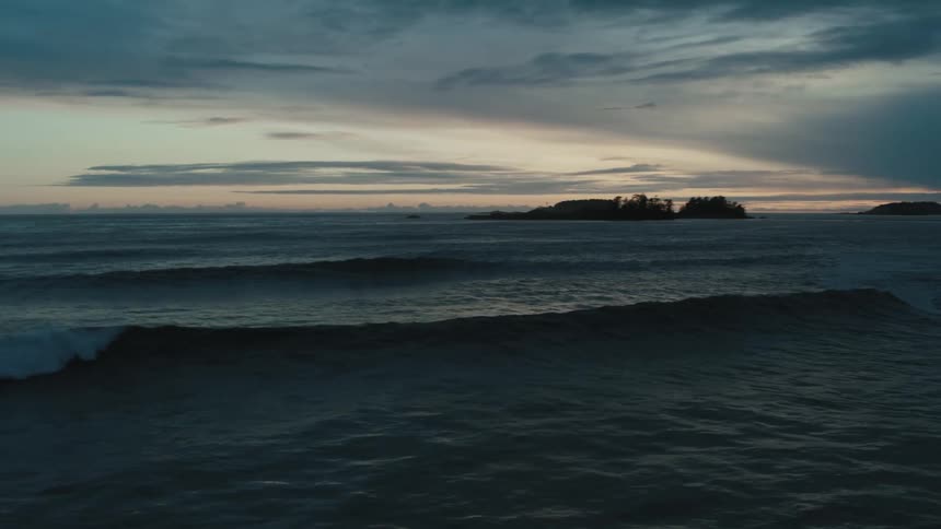 Conifer trees stand silhouetted against red sky as waves foam while nearing shore