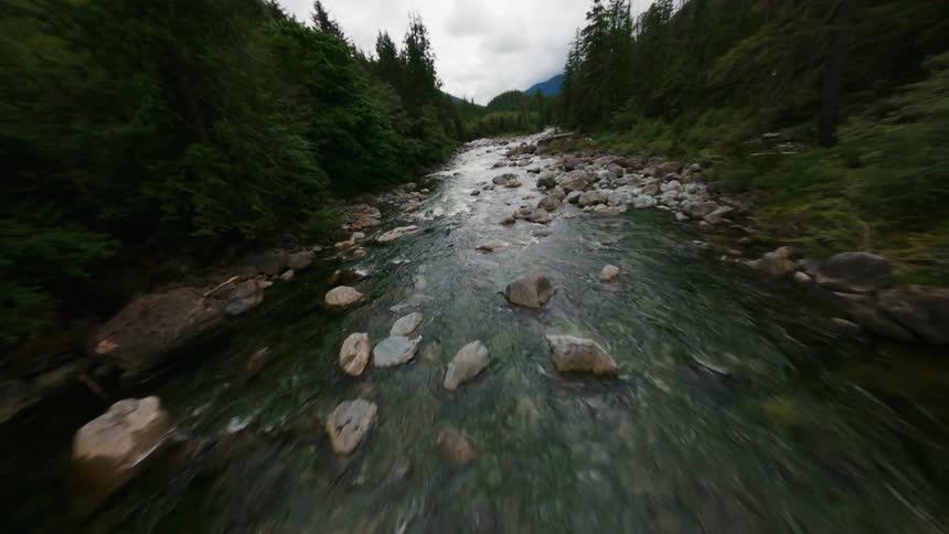 Forest occupies both banks of river filled with rapids under an overcast sky