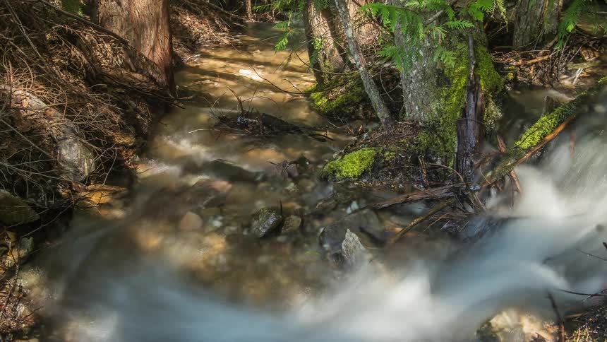 Water moving through a rocky brook