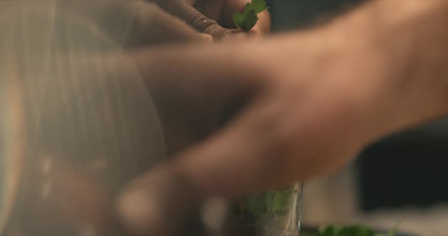 A person is tearing parsley into a cup