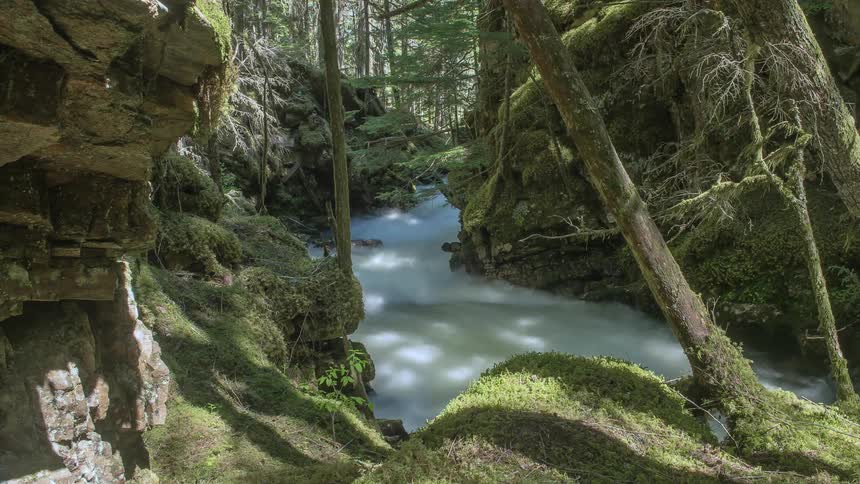 Time lapse of a stream running in the wilderness
