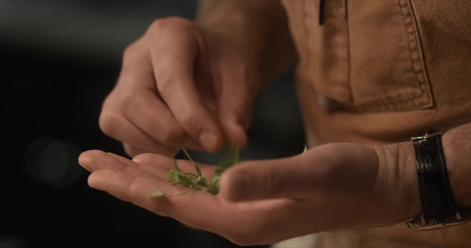 Male chef sorts herb sprigs while standing at counter