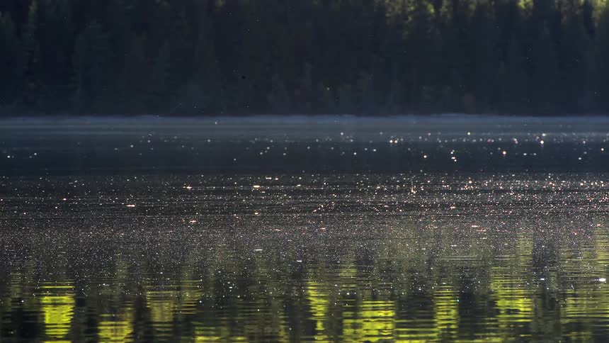 Water flows on a river
