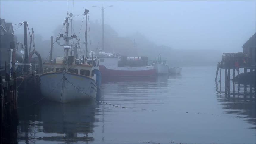 Boats docked on a foggy day