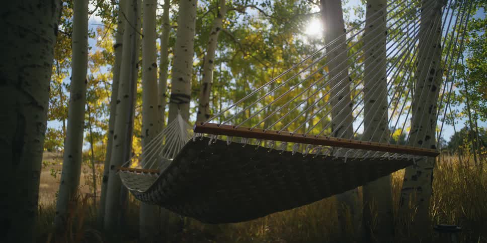 A hammock is hanging between birch trees as the sun shines brightly through the branches and leaves