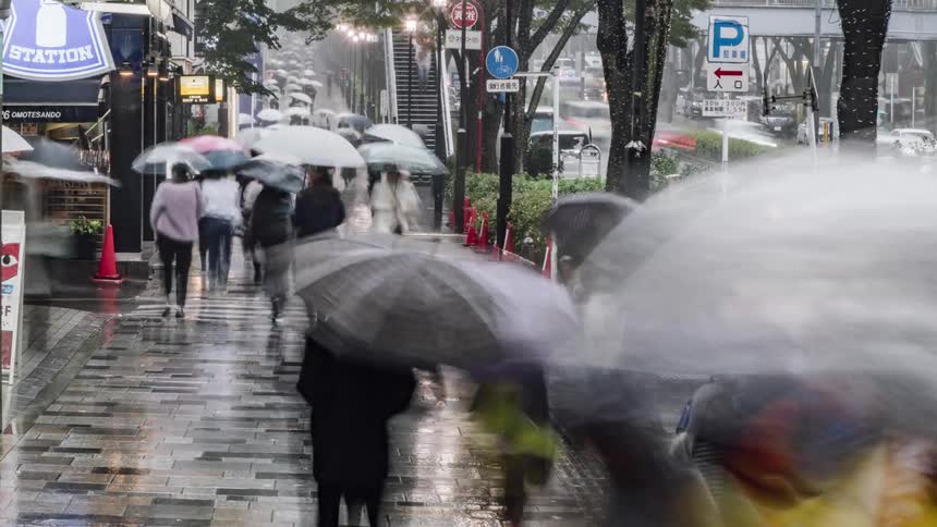 Pedestrians move down busy sidewalk holding umbrellas