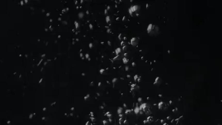 The bubbles rise up through the water