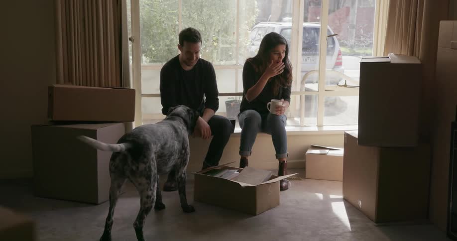 A man and woman play with their dog in an apartment