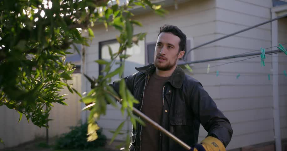 A man is pruning the trees in his yard