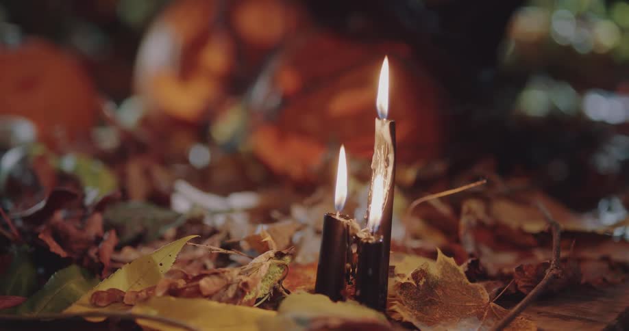 Branches are lit with a flame outdoors at night