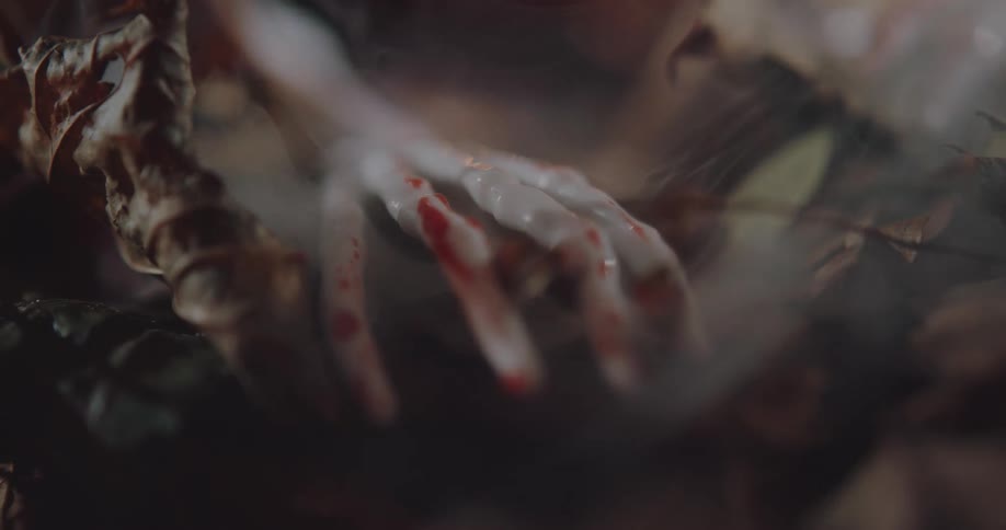 The fog flows over the bloody bones