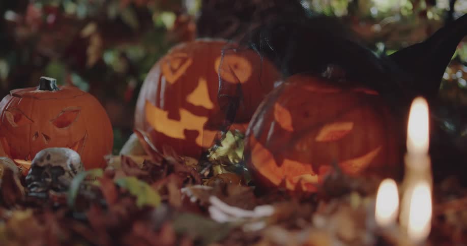 A halloween display of jack o lanterns and candles is on a table