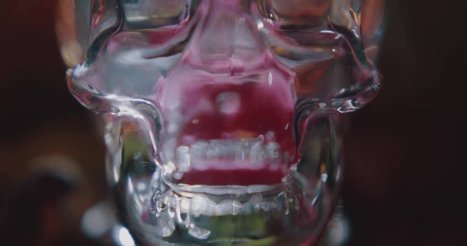 Water drips down a melting ice skeleton