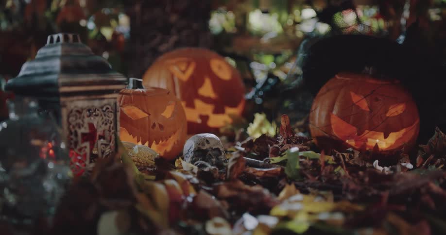 Candle light shines inside the faces of jack o lanterns outside in a halloween display
