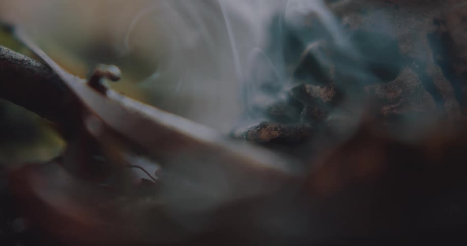 Smoke flows over the skull