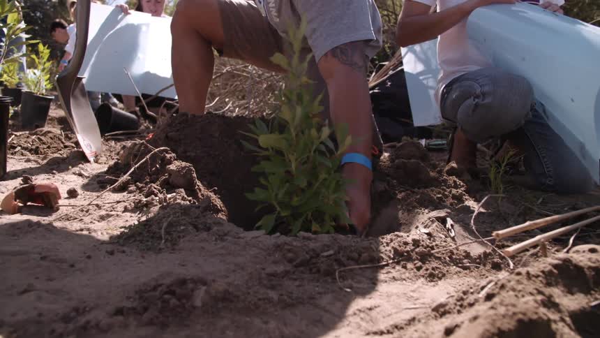 People are planting things creating a garden
