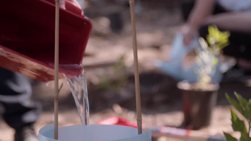 A person uses a red bucket to water garden plants
