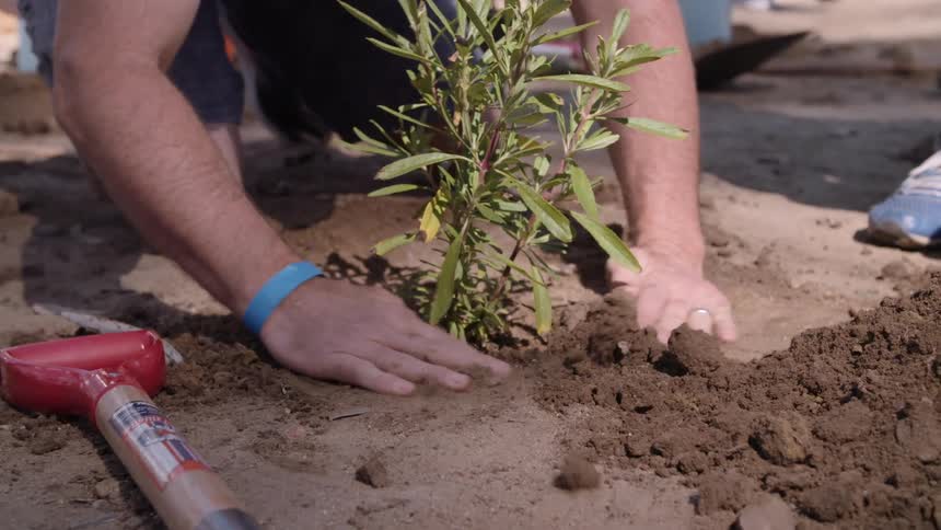 People are planting in a dirt field