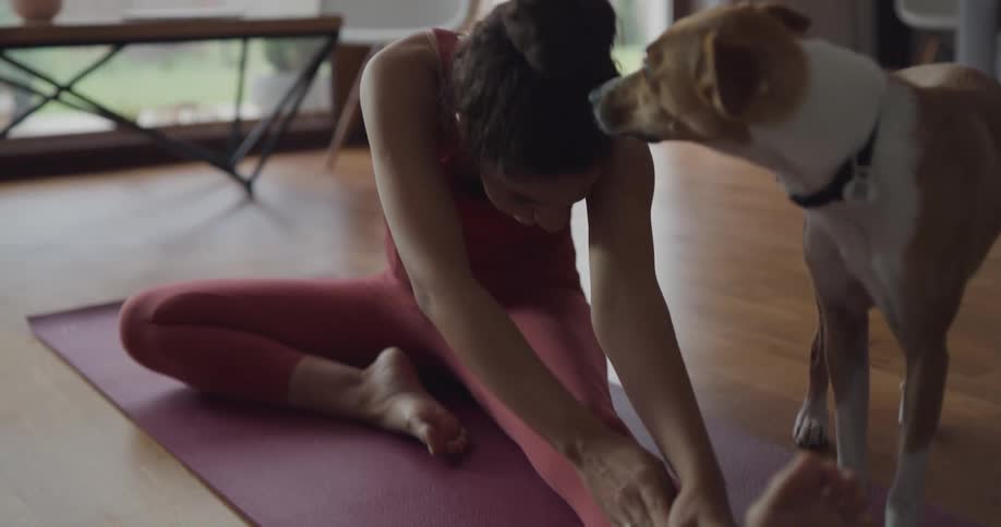 A woman doing yoga with her dog