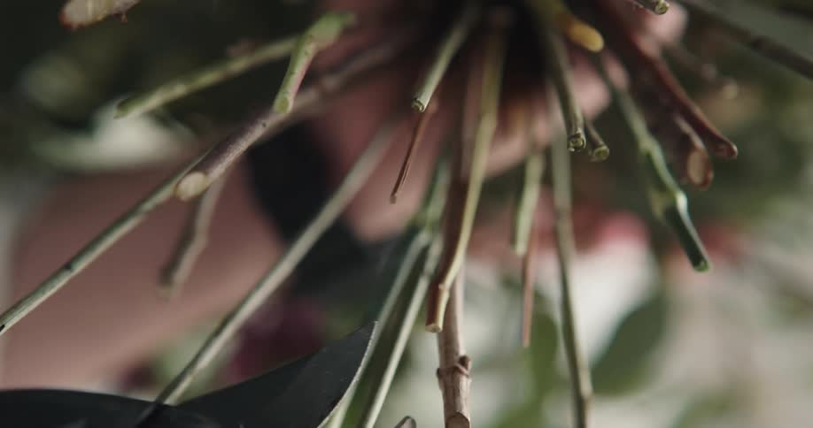 A person is cutting stems off of flowers