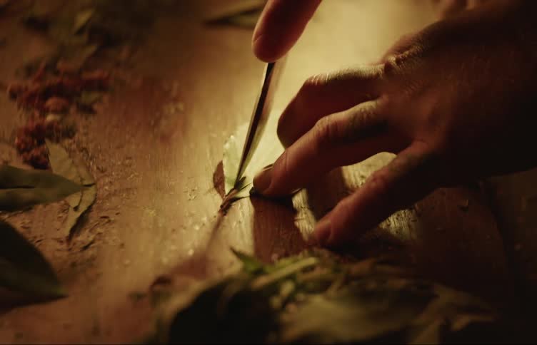A person is cutting a leaf