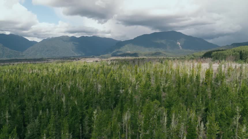 Past the forest is a mountain range