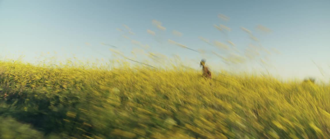 A man is running through a field of flowers in spring
