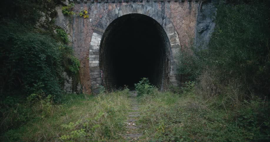 A dilapidated railway leading into an abandoned tunnel in a woodland during the day