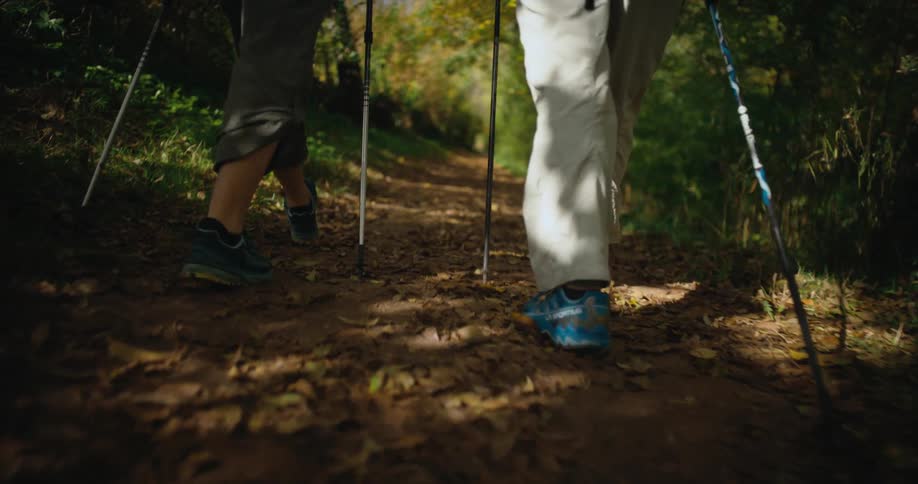 A pair of hikers use trekking poles as they hike together along a trail through a woodland during the day