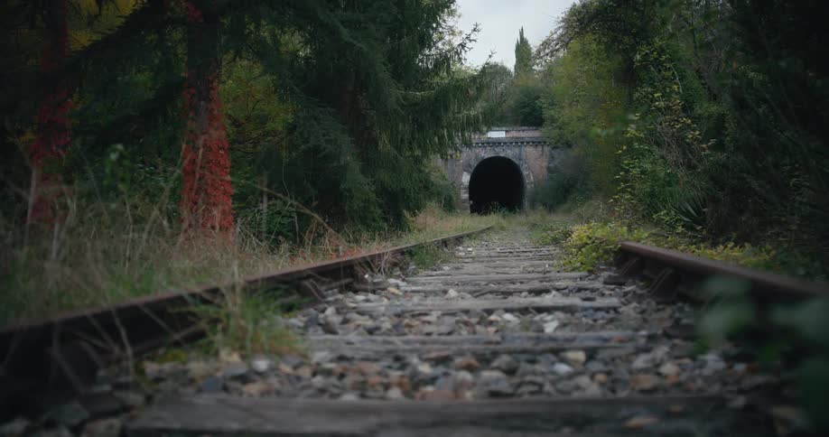 Old train tracks near a train tunnel and surrounded by trees and brush