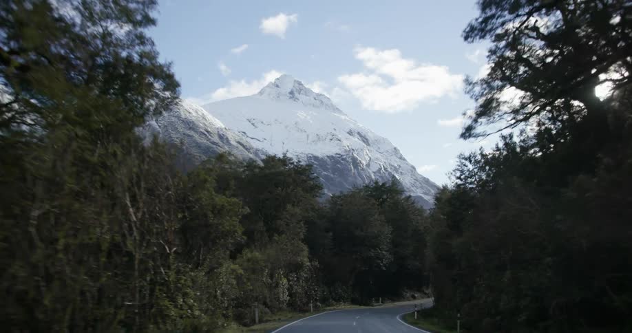 A tree lined road leads to a snow covered mountain peak