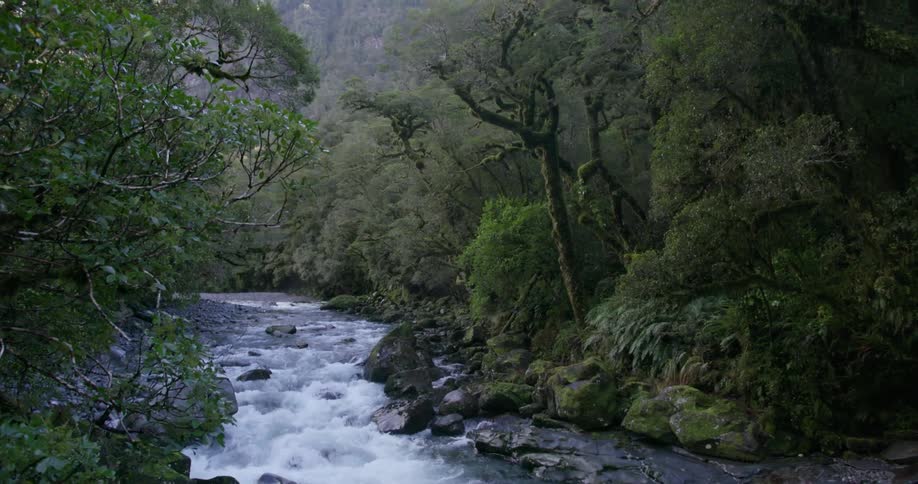 There is a small stream running through the wilderness